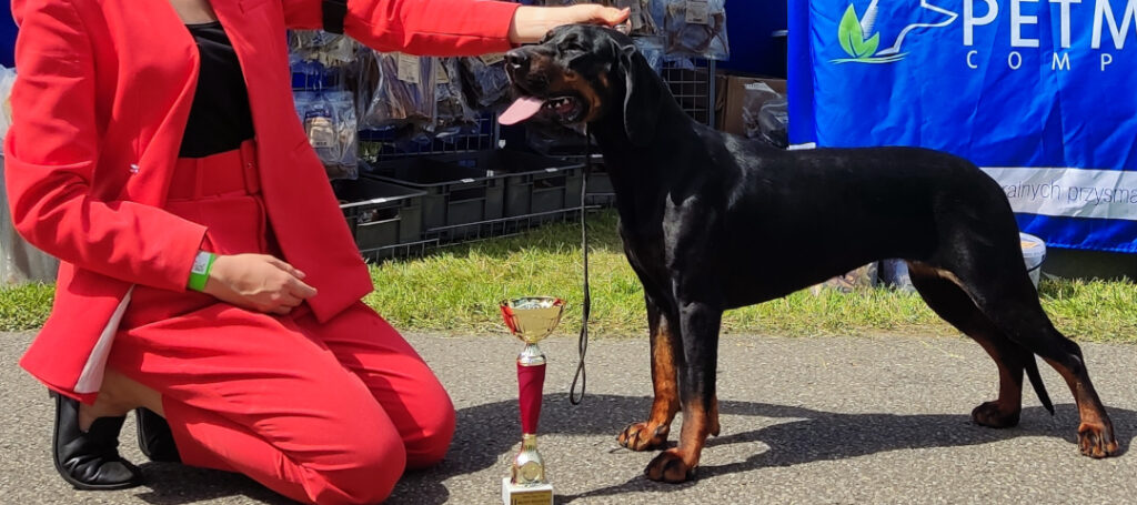 27th and 28th National Dog Shows in Nowy Targ