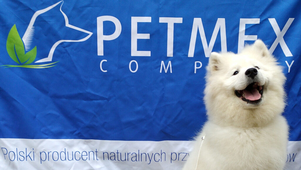 40th International Dog Show in Moszna