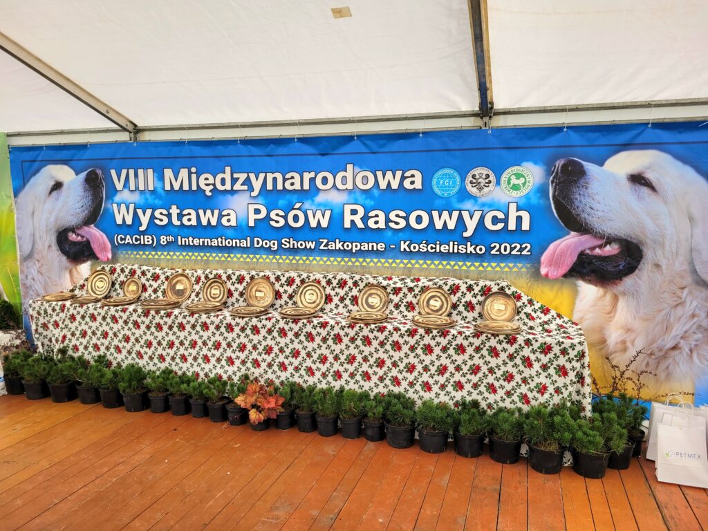 8th International Dog Show in Kościelisko-Zakopane