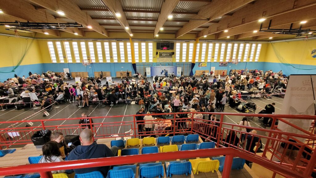 10th Winter Dog Show in Chocenie