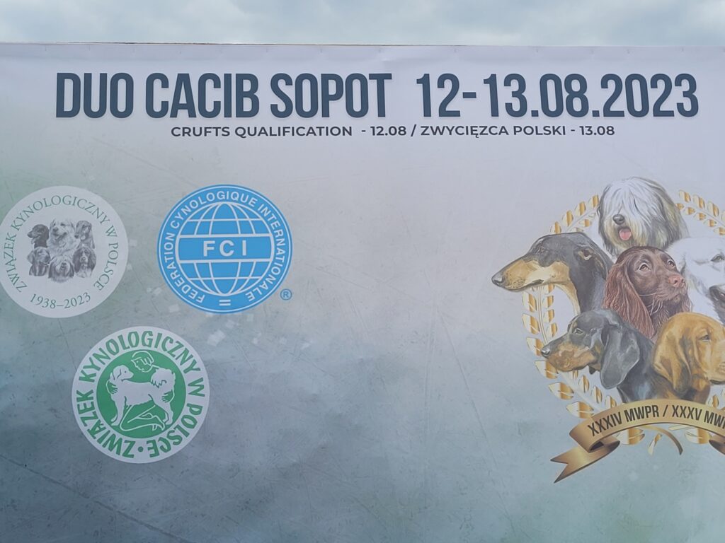 International Dog Shows in Sopot: Spectators Drawn in by Canine Stars