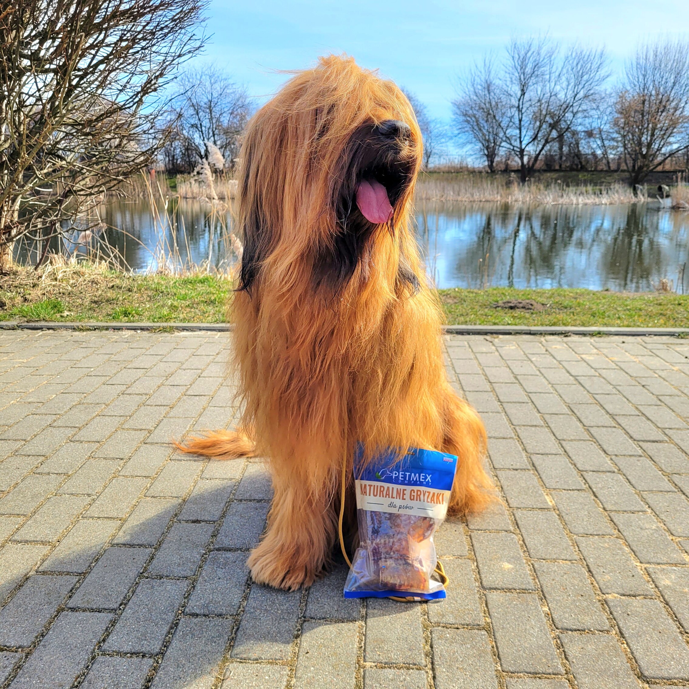 Petmex natural dog chew raw material