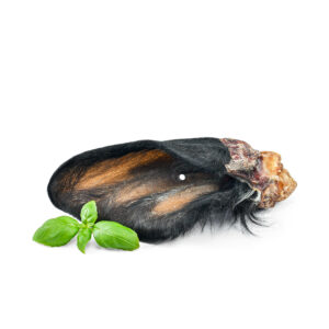 Beef Ear with Hair