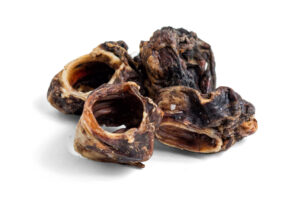 Beef Larynx