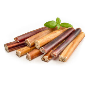 Beef Pizzle (Bully Stick), Cut 12 cm