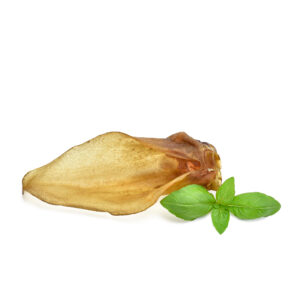 Doe (Roe Deer) Ear