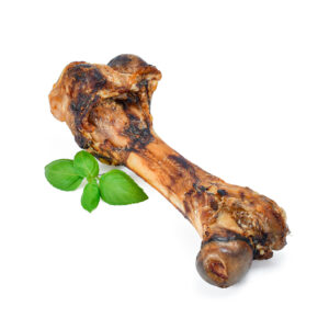 Ham Bone