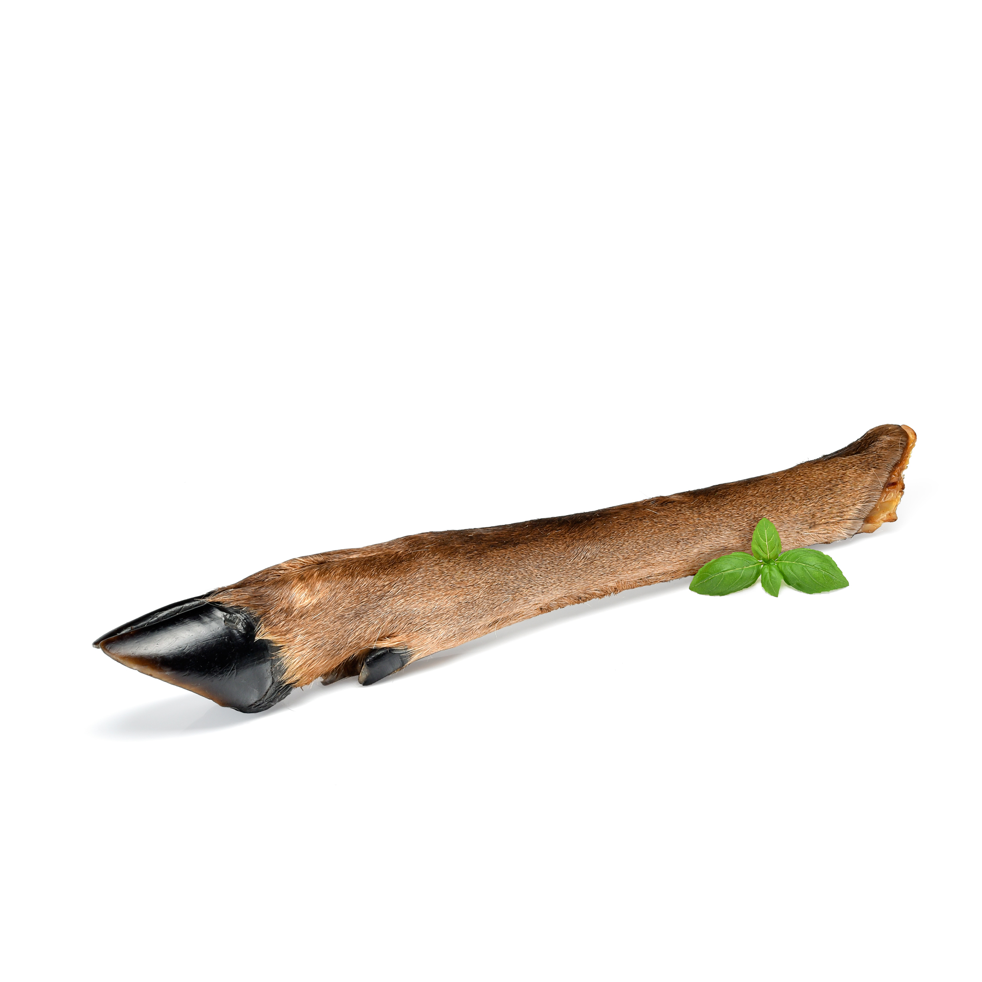 Deer Leg (Hoof) with Fur