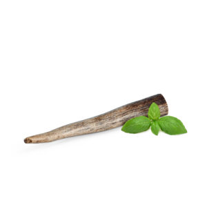 Deer Antler, S