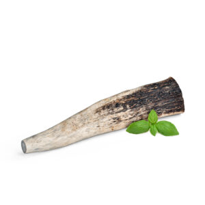 Deer Antler, L