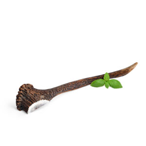 Deer Antler Halves, M