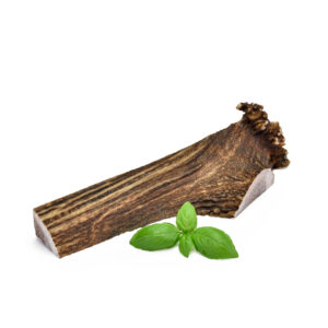 Deer Antler Halves, L