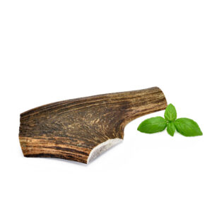 Deer Antler Halves, XL