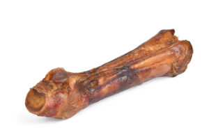 Horse Foot Bone