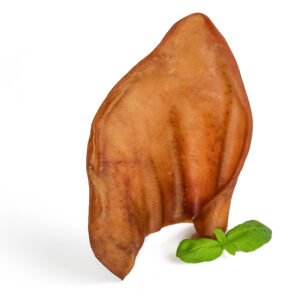 Pig Ear
