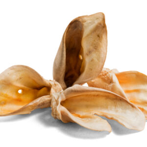 White Beef Ear