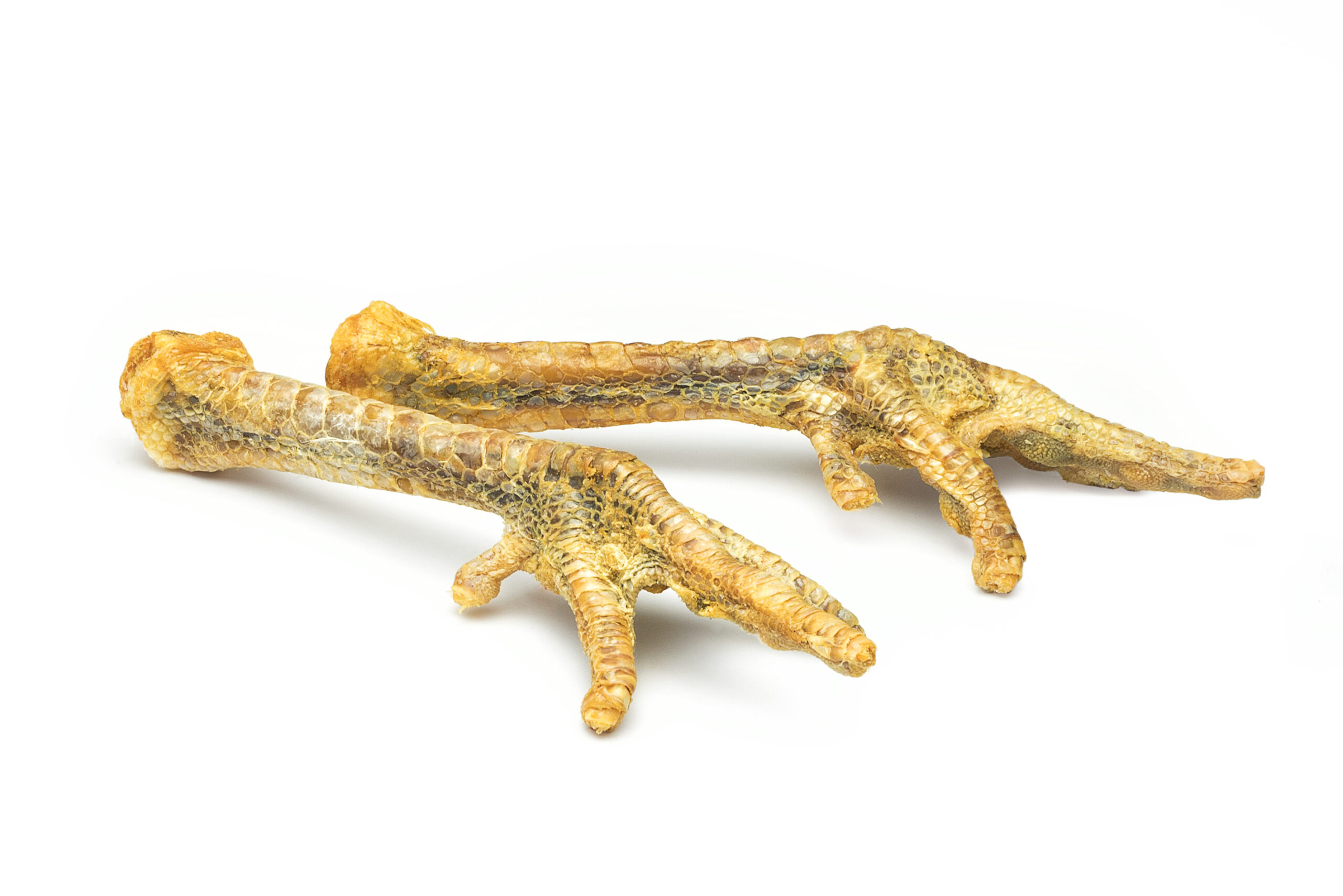 Turkey Foot