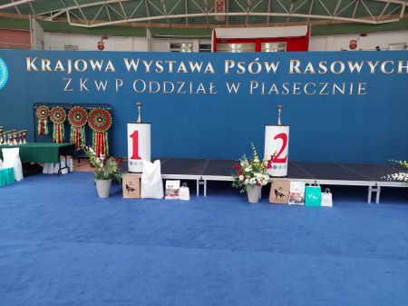 9. Krajowa Wystawa Psów Rasowych w Pruszkowie